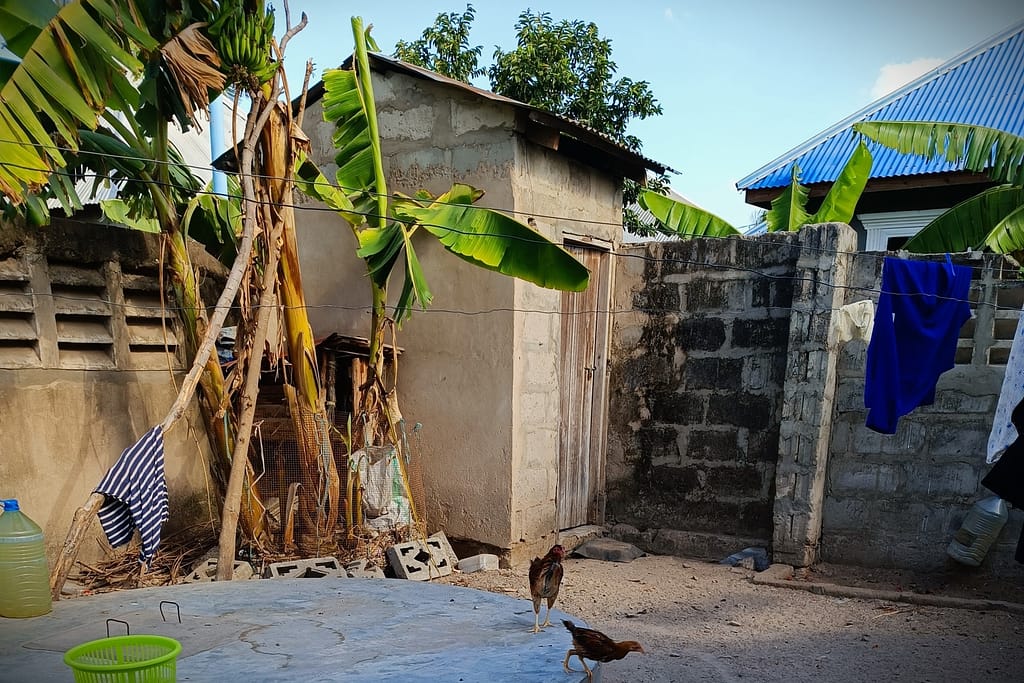 Toilet Facility in the Back Yard