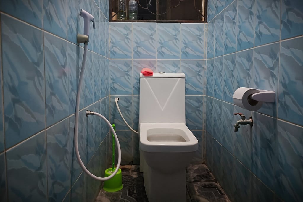 Luxury: Anal Tube, Sitting Toilet and Toilet Paper