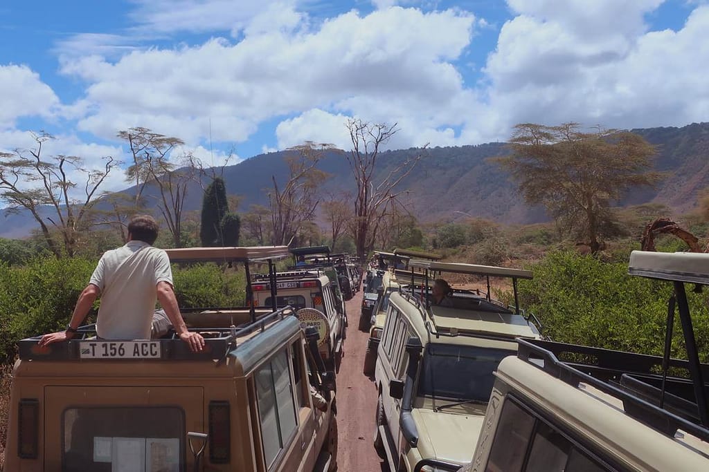 Traffic jam in the Ngorongoro Crater - everyone wants to see a rhino