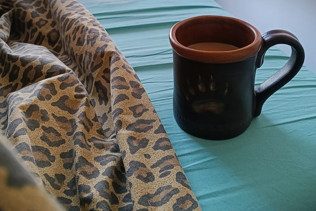 Morning Coffee in Bed