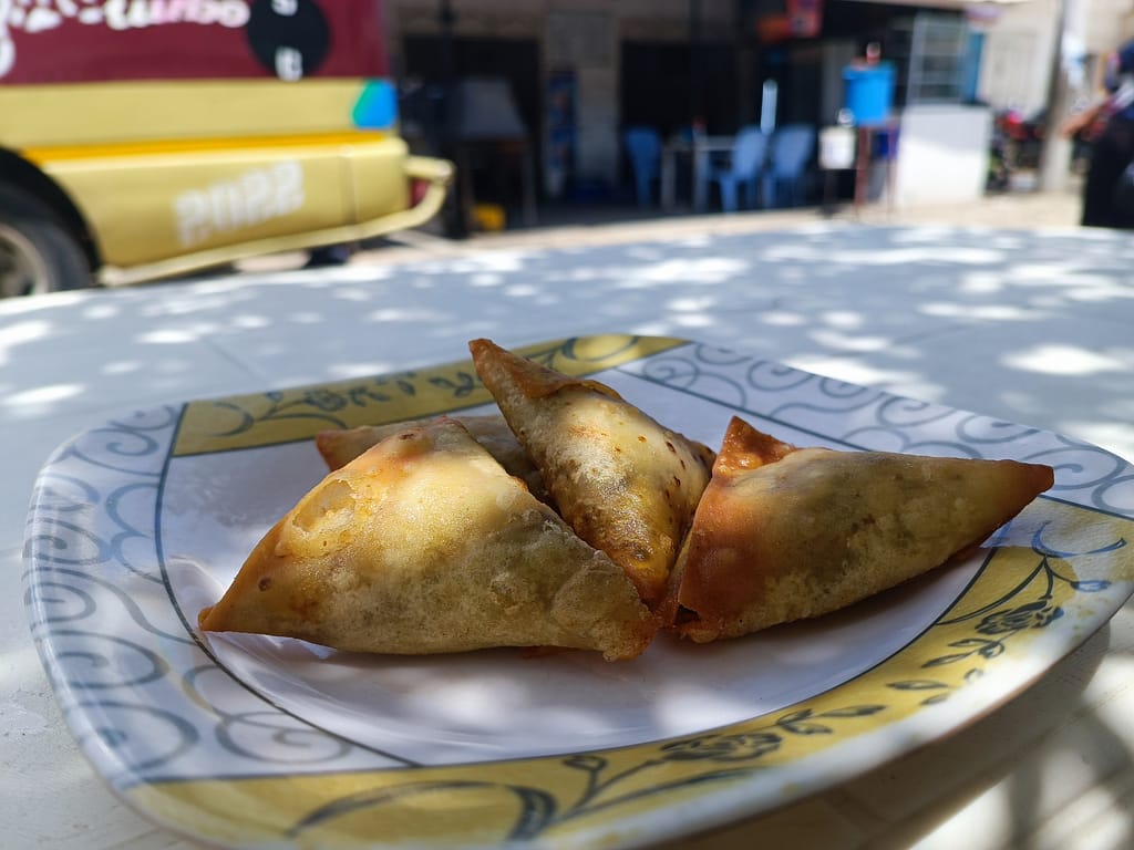 Crispy Samosas