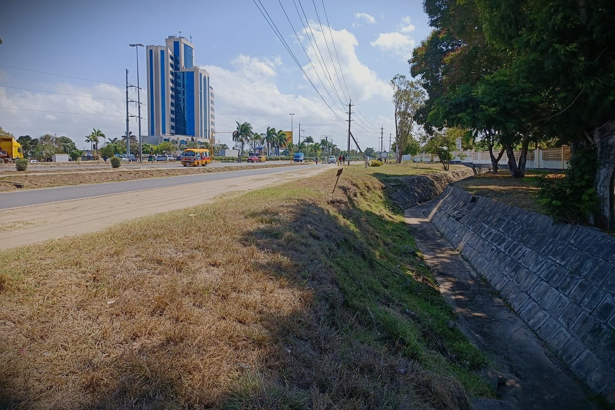 Read more about the article City Safari – 6 survival strategies for the Streets of Tanzania